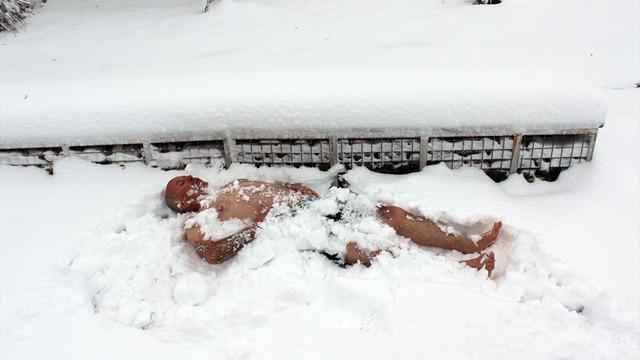 Karı görünce dayanamadı, üstüne yattı oradan oraya yuvarlandı! Ortaya inanılmaz görüntüler çıktı...