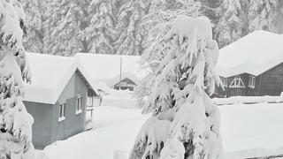 Gidecekleri uyardı: Kar seviyesi hızla artıyor... Düzce'de yoğun kar yağışı yolları kapattı, ulaşımda aksamalar oldu!