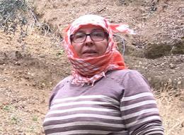 Günlük 3 bin lira veriyor... Çalışacak işçi bulamıyor! Bir ay önce başladılar, iki ayı bulacak