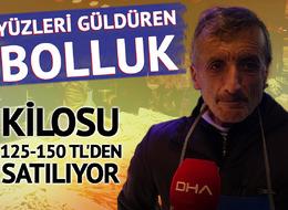 Yüzleri güldüren bolluk! Kilosu 125-150 TL'den satılıyor: "Fiyatları bedava"