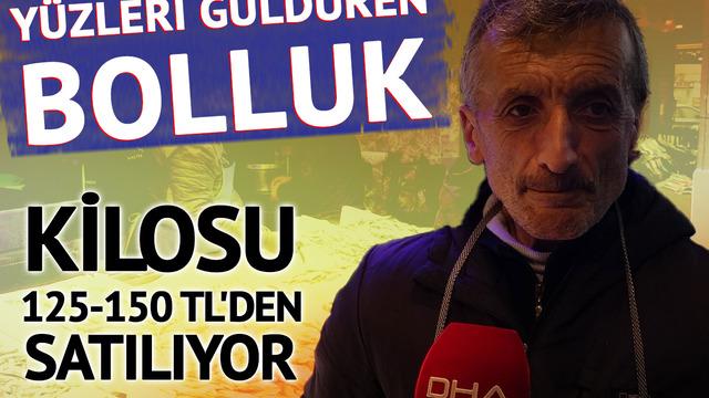 Yüzleri güldüren bolluk! Kilosu 125-150 TL'den satılıyor: "Fiyatları bedava"