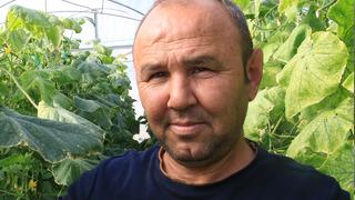 '10 senede ilk defa bu kadar para kazandık' Fiyatlar yüzlerini güldürdü