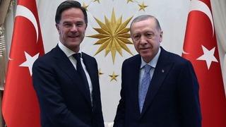 Cumhurbaşkanı Erdoğan, Rutte'yi kabul etti