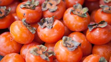 Cennet hurması keki tarifi: Cennet hurması keki nasıl yapılır?