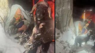 Antalya'da kar nedeniyle yolunu kaybeden yaşlı çift, hayvanlarına sarılmış halde bulundu