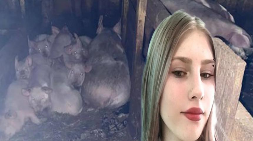 17 yaşındaki kız öğrenci, hayvanları beslemek için evde yalnız bırakıldıktan sonra domuzlar tarafından parçalanarak öldürüldü