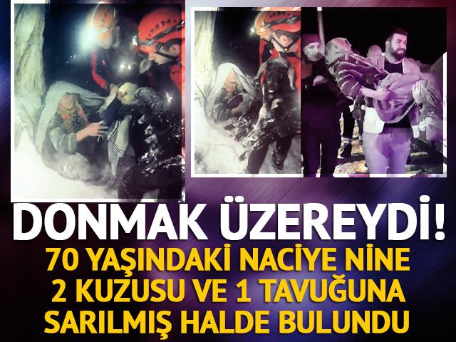 Yaşlı çift hayvanlarına sarılı halde bulundu