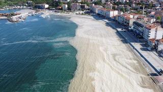 Marmara Denizi'nde müsilaj tehlikesi: Prof. Dr. Tecer, yüzeye çıkma ihtimaline karşı uyardı
