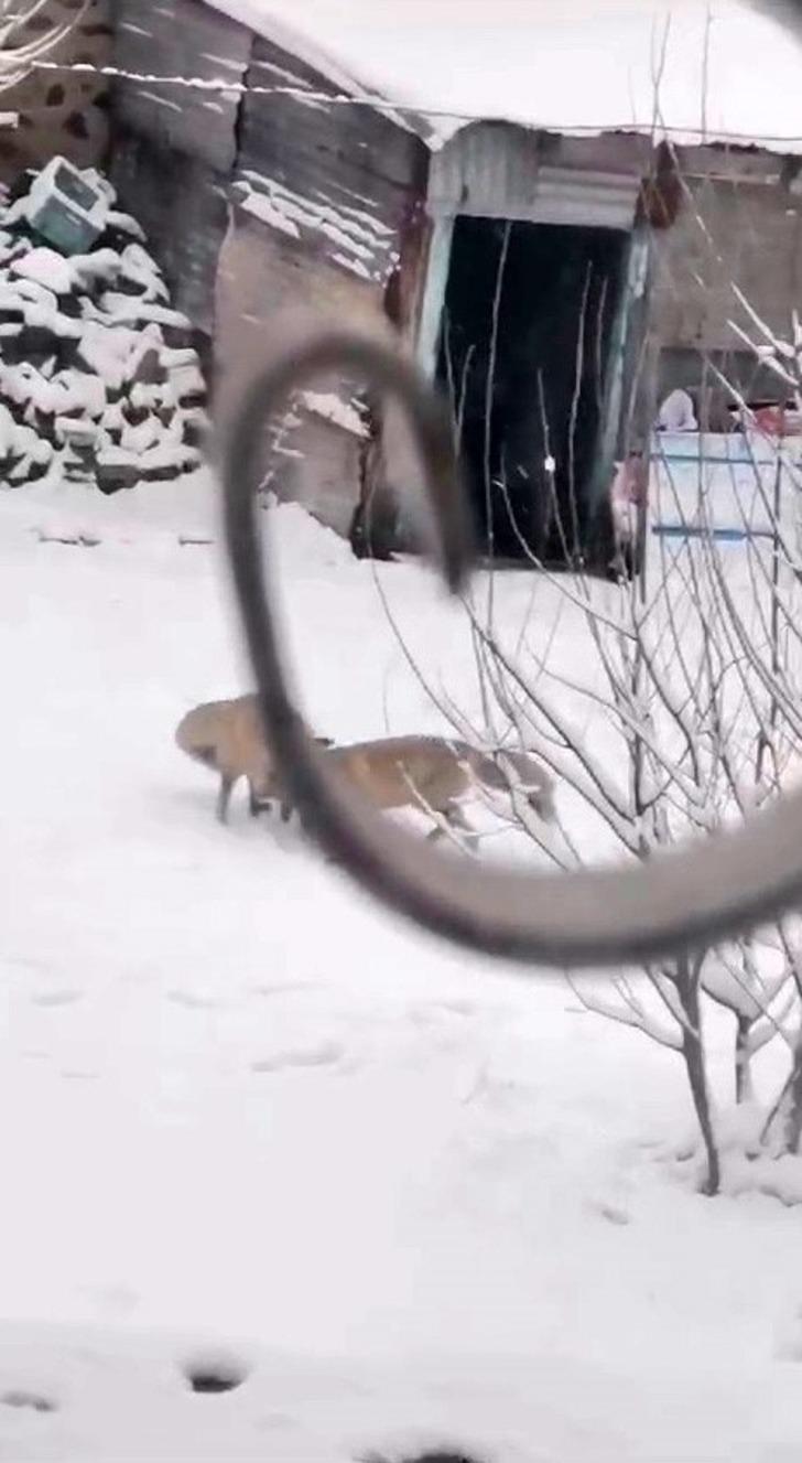 Erzurum dün gece dondu! -17,6 derece ile Türkiye'nin en soğuk yeri Erzurum'un Çat ilçesi oldu... G5