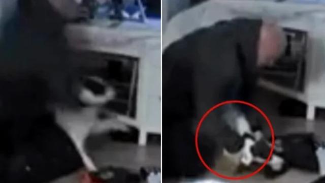 Boynundan tutup defalarca yumrukladı! Ülkede infial yaratan görüntüler: İşkence anları saniye saniye kameraya yansıdı