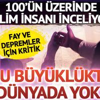 'Bu büyüklükte dünyada yok' 100'ün üzerinde bilim insanı inceliyor!  