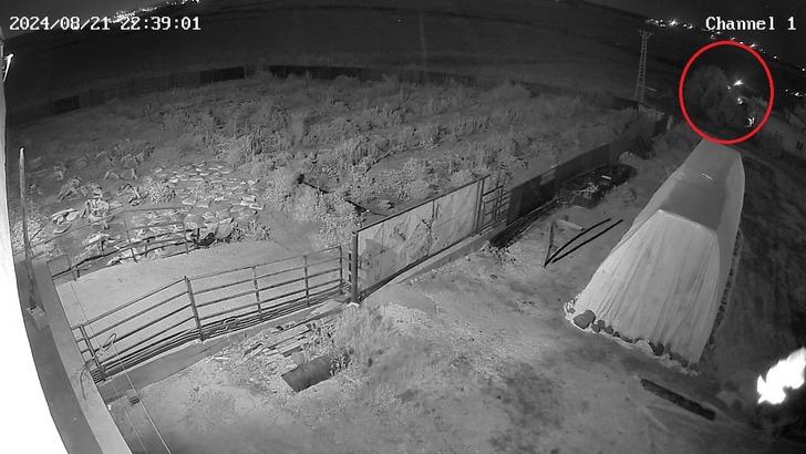 Narin cinayetinde yeni görüntü çıktı! Net bir şekilde tespit edildi! Görüntülerdeki kişi Salim Güran G4