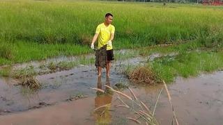 Tarlayı sürerken korkunç bir şey buldu! İskeleti görür görmez polise haber verdi: Detaylar şaşkına çevirdi... '2 ay önce kaybolmuştu'