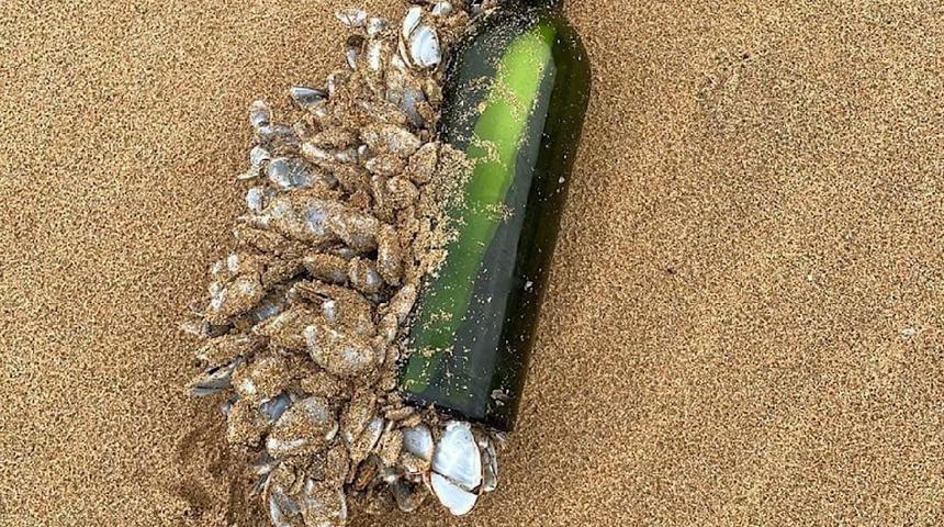 Şişedeki mesaj 16 yıl sonra sahile vurdu! Binlerce kilometre yol kat etti:  "Mesajınız para vaat ediyor"