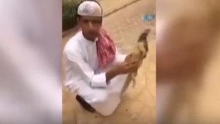 Oyuncak sandı, gerçek çıkınca hopladı