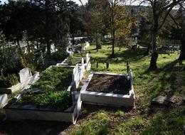 Para yerine mezarlık arsası verdiler, hem de içi dolu... Belediyenin yanıtı daha da şaşırttı: "İcraya verp satabilirsin"