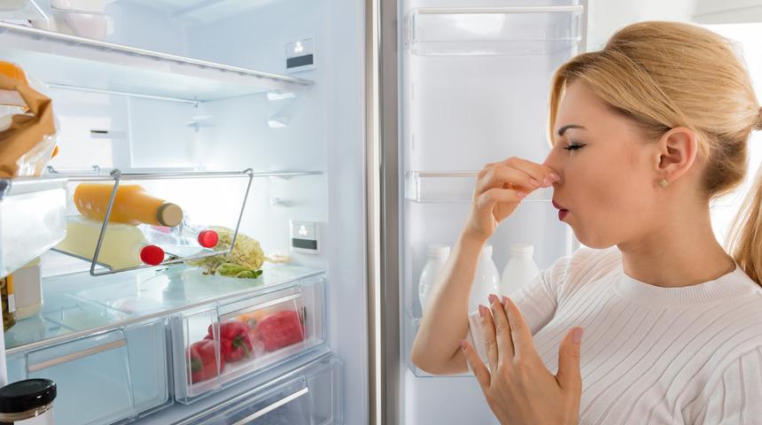 Buzdolabı kokusu nasıl giderilir? Buzdolabı kokusunu ne alır? Buzdolabı kokusuna ne iyi gelir?