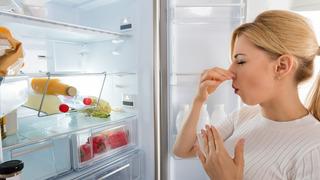 Buzdolabı kokusu nasıl giderilir? Buzdolabı kokusunu ne alır? Buzdolabı kokusuna ne iyi gelir?
