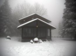 Fiyatı 5 bin TL! Şimdiden aramaya başladılar 'İzole bir yer' Ekonomik seçenek olarak öne çıktı