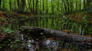 Kırklareli'nin neyi meşhur? Kırklareli'nin en meşhur şeyleri, yiyecekleri ve doğal huzurlu yerleri