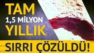 2021'de ortaya çıkarılmıştı! 1,5 milyon yıl önceki ayak izlerinin sırrı çözüldü: Önemli gerçek gözler önüne serildi