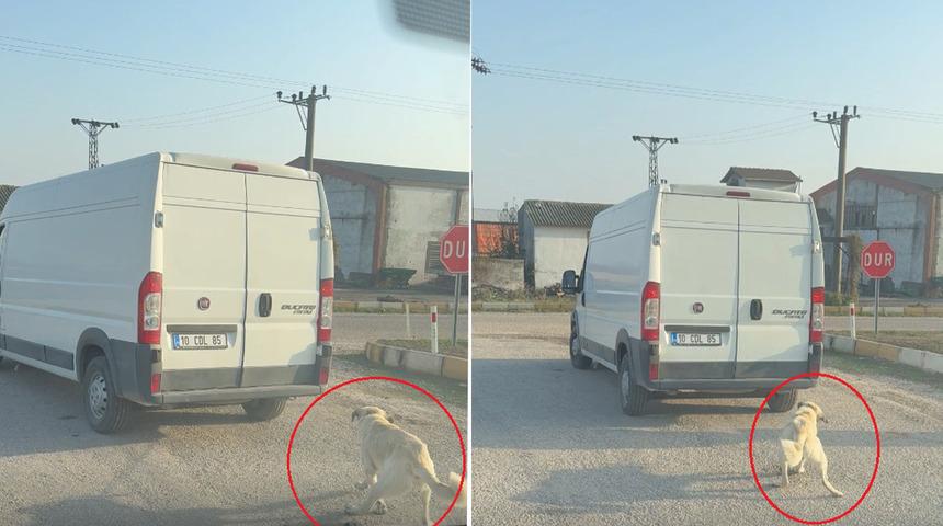 Balıkesir'de dehşet dolu görüntü! Köpeği minibüsün arkasına iple bağlayıp çekti
