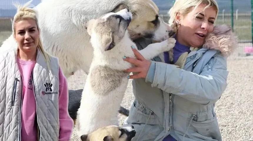 Mahkeme haksız kazanca cezayı kesti! Köpek velisi Buket Özgünlü tutuklandı!