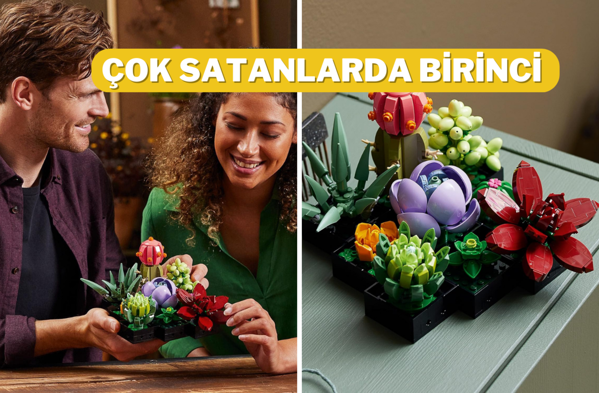 Fiyatı 1336 TL'ye düştü! Çok satan LEGO Sukulentler Yapım Seti günün fırsat ürünü