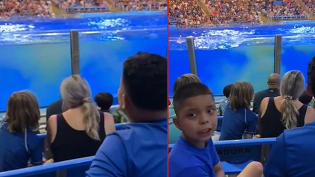 Balinadan sosyal medyaya damga vuran intikam planı! Dev akvaryuma hapsedilen balina, dışkısını yapıp seyircilerin üstüne fırlattı