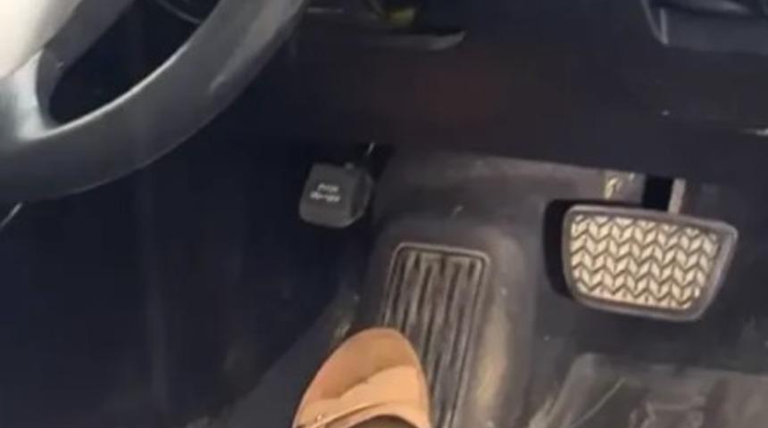 Araba sürerken bir anda bacağının üzerinde sarı bir yılan dolaşmaya başladı! "10-20 dakika içinde öldürebilirdi"