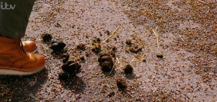 Hayranları pislik içinde yaşayan Katie Price'ı topa tuttu! G3