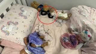 Küçük kızın yatağından öyle bir şey çıktı ki... Ailesi korkuyla yetkililere haber verdi: Fark edilmesi imkansız