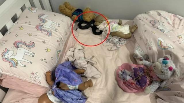 Küçük kızın yatağından öyle bir şey çıktı ki... Ailesi korkuyla yetkililere haber verdi: Fark edilmesi imkansız