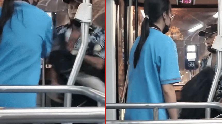 Otobüste iki kez tacize uğrayan kadın saldırgana böyle müdahale etti! Dizlerinin üzerine çöküp özür diledi