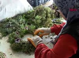 Orman atıklarından 10 milyon avro kazanç! Antalya'dan dünya çapında ihracat...