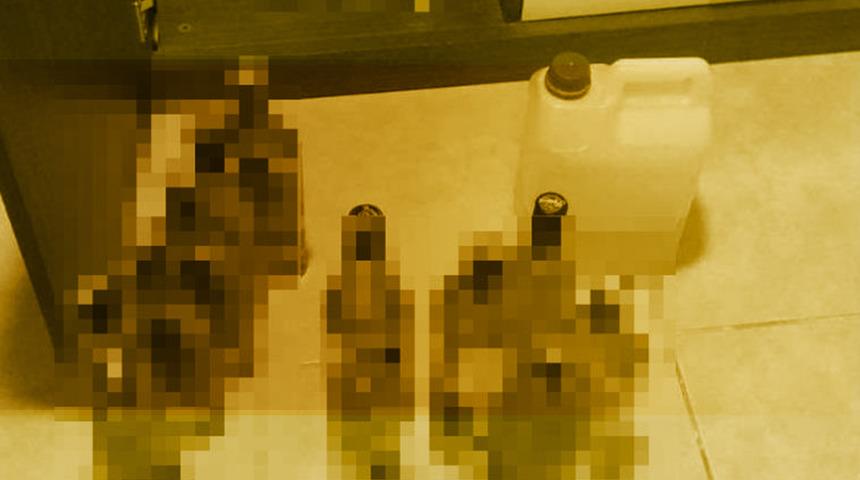 İstanbul'da sahte içki kabusu! Can kaybı 17'ye yükseldi: Çok sayıda gözaltı var