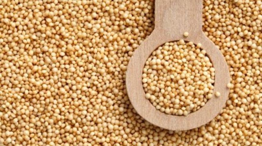 S&uuml;per bitki amarant! Ger&ccedil;ek bir bitkisel protein hazinesi