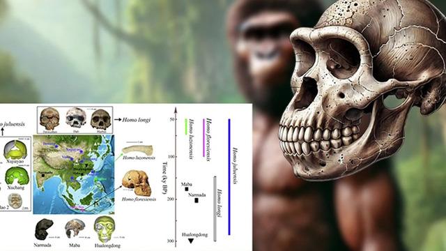Çin’de şok edici keşif! Homo Juluensis adı verilen yeni insan türü, evrim teorisini sarsabilir...