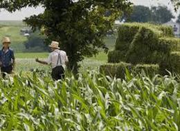 ABD'de tarım dışı istihdam kasımda 227 bin kişi artarak beklentilerin üzerinde gerçekleşirken, işsizlik oranı yüzde 4,1'den 4,2'ye çıktı!