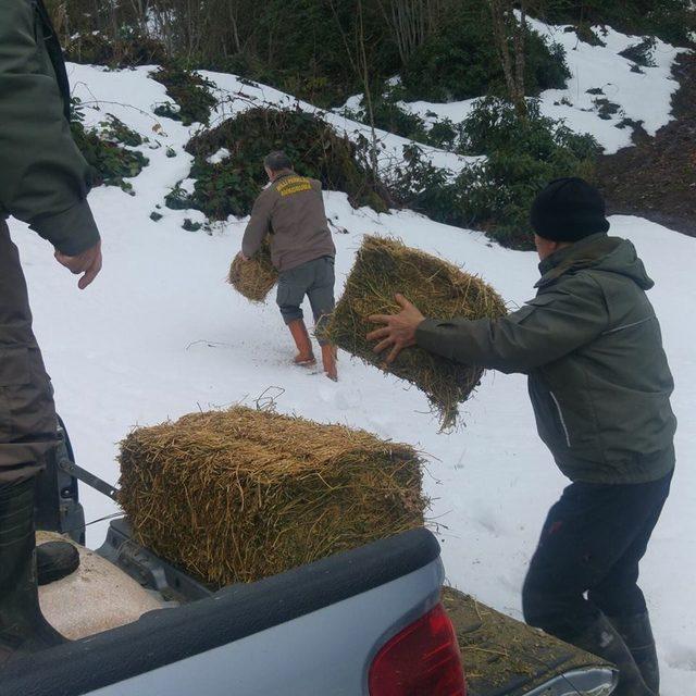 Düzce’de yabani hayvanlar için yem bırakıldı