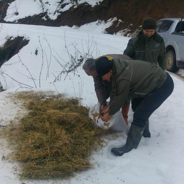 Düzce’de yabani hayvanlar için yem bırakıldı