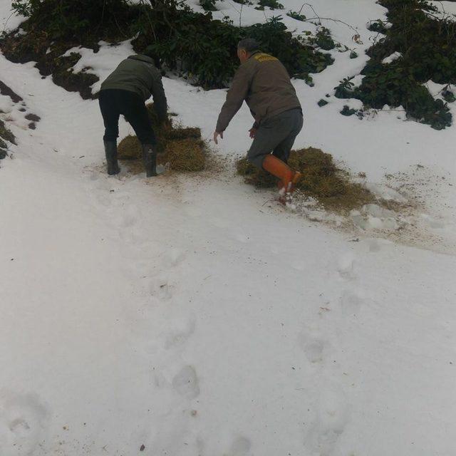 Düzce’de yabani hayvanlar için yem bırakıldı