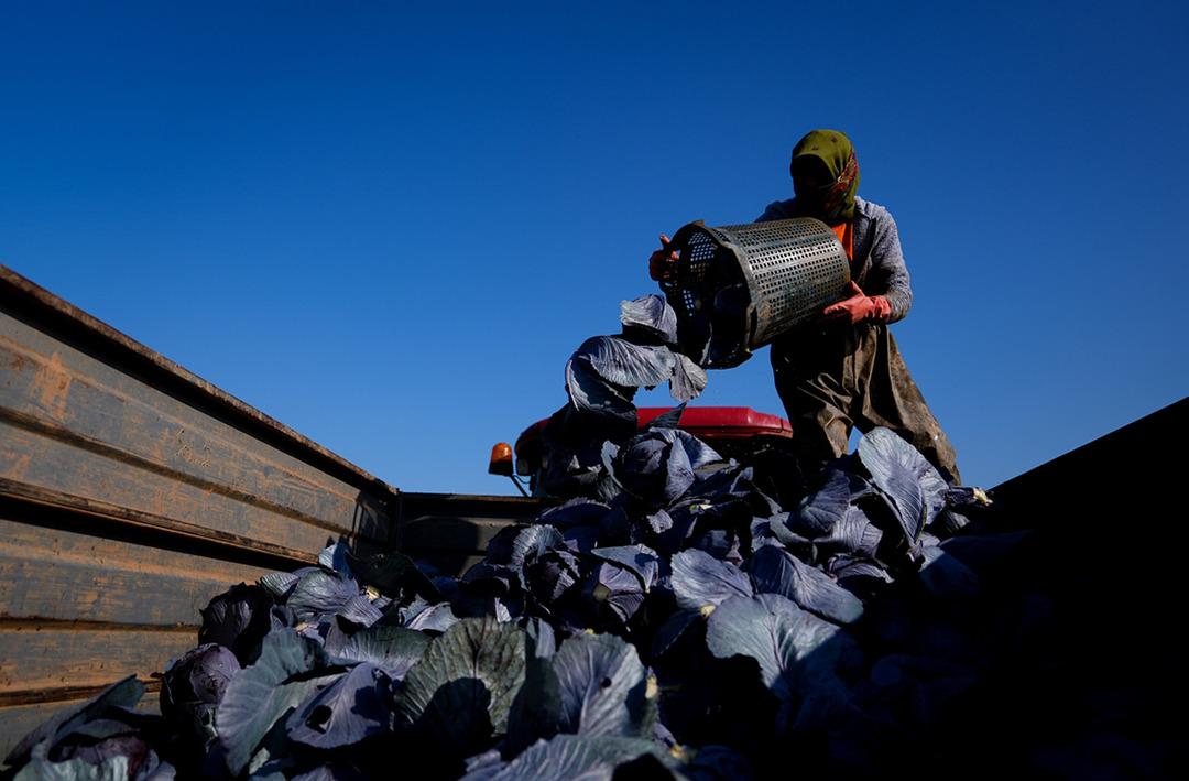 2 hafta gecikmeli &ccedil;ıktı! 'Fiyatlar beklenenin &uuml;zerindeydi ama şu an stabil hale gelmeye başladı'