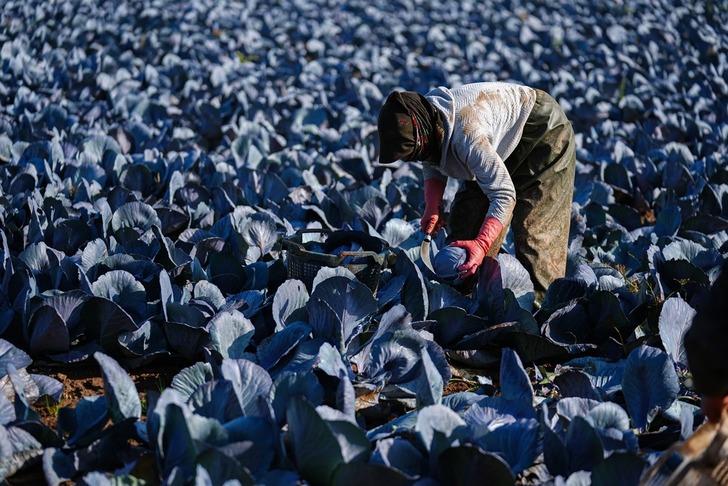 2 hafta gecikmeli çıktı! 'Fiyatlar beklenenin üzerindeydi ama şu an stabil hale gelmeye başladı' G1