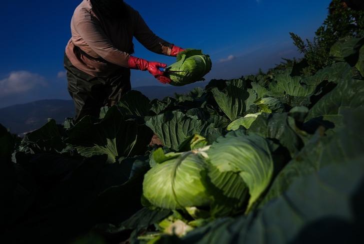 2 hafta gecikmeli çıktı! 'Fiyatlar beklenenin üzerindeydi ama şu an stabil hale gelmeye başladı' G3