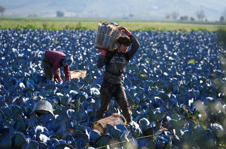 2 hafta gecikmeli çıktı! 'Fiyatlar beklenenin üzerindeydi ama şu an stabil hale gelmeye başladı' G5