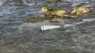 İstanbul Arnavutköy'de karaya vuran cisim merak uyandırdı! Sahil Güvenlik incelemeye aldı