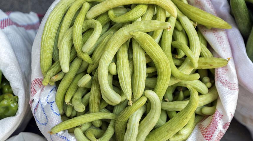 Rüyada acur görmek ne anlama gelir? Rüyada acur tarlasına gitmek neye işaret ve neye yorumlanır?