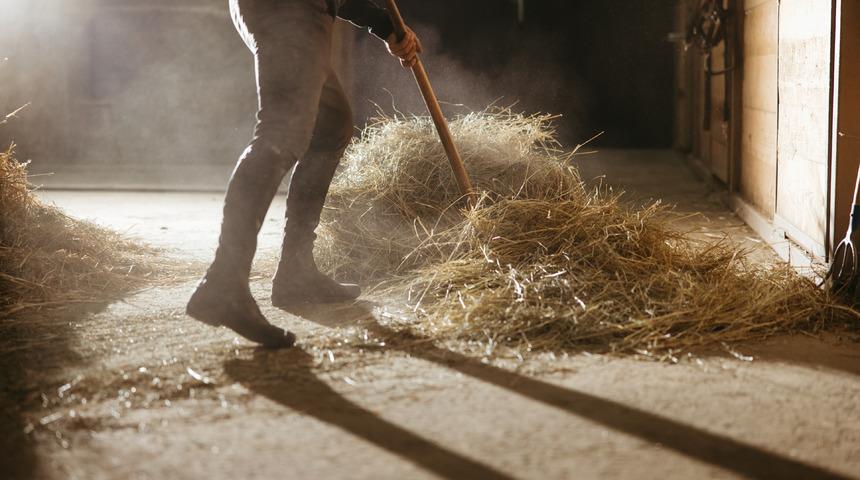 Rüyada ahır görmek ne anlama gelir? Rüyada ahıra girmek neye işaret ve neye yorumlanır?