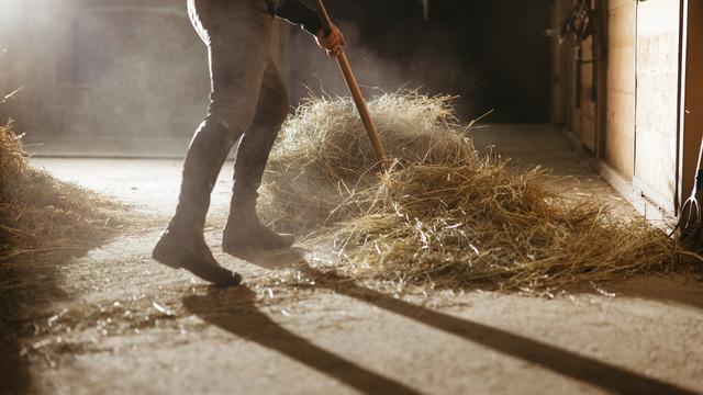 Rüyada ahır görmek ne anlama gelir? Rüyada ahıra girmek neye işaret ve neye yorumlanır?